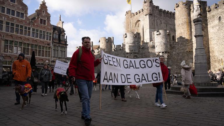 Dia Del Galgo Gent